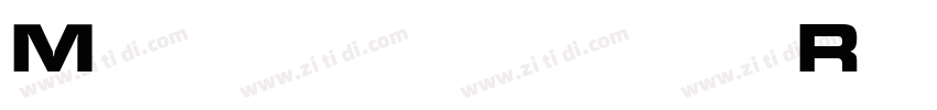 Microgramma Regular字体转换 Microgramma Regular字体转换
